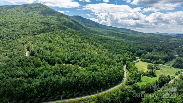 a view of a lush green forest with lots of trees