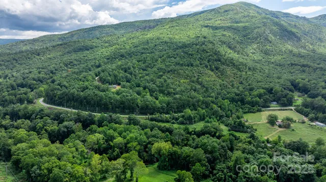a view of a lush green forest with trees in the background