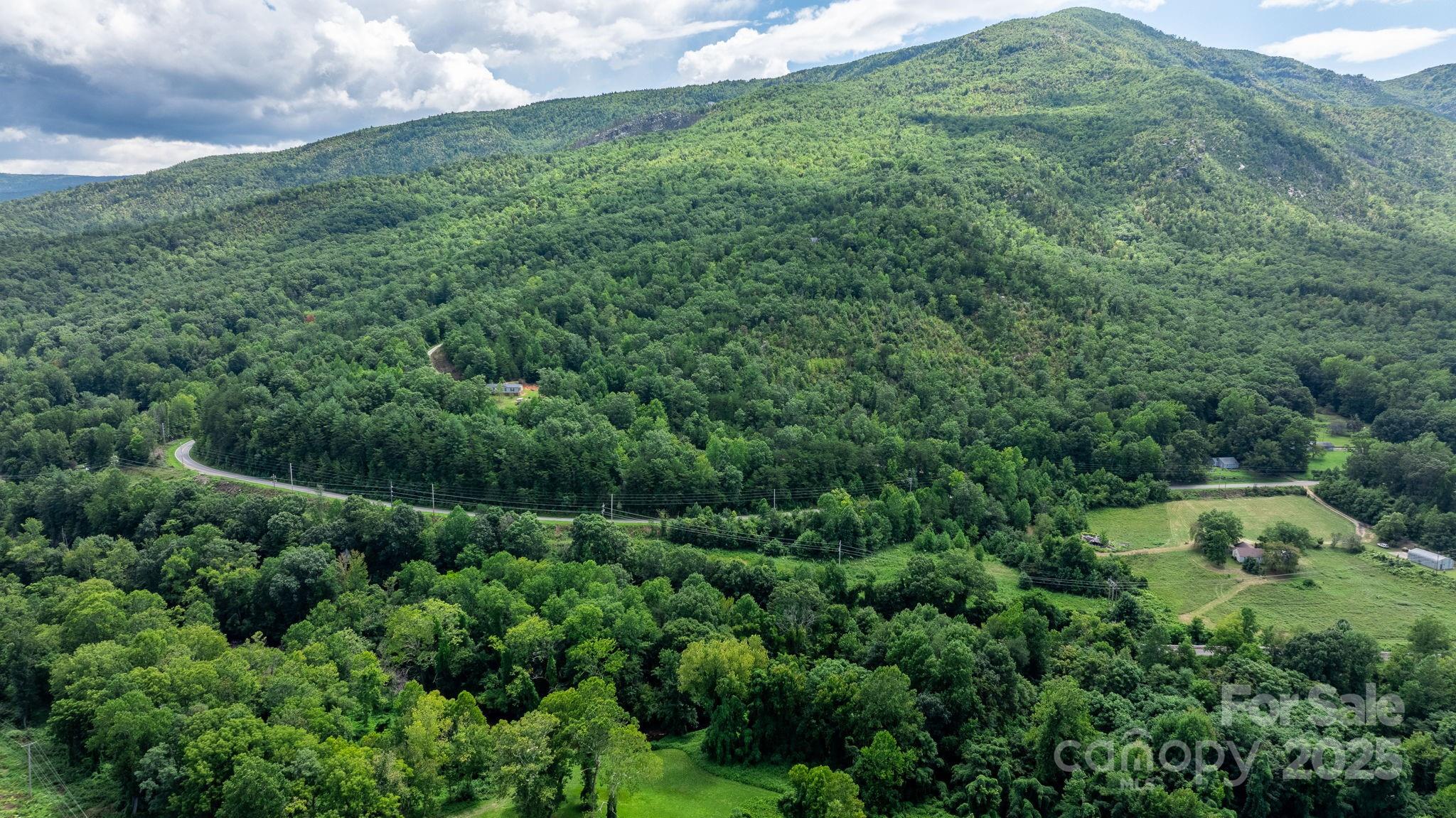 Tbd Old Linville Road Marion, NC 28752 - Photo 28 of 29 a view of a lush green forest with trees in the background