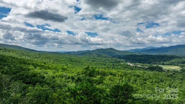 a view of a city with lots of green space