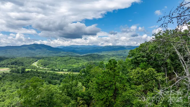 a view of a bunch of trees