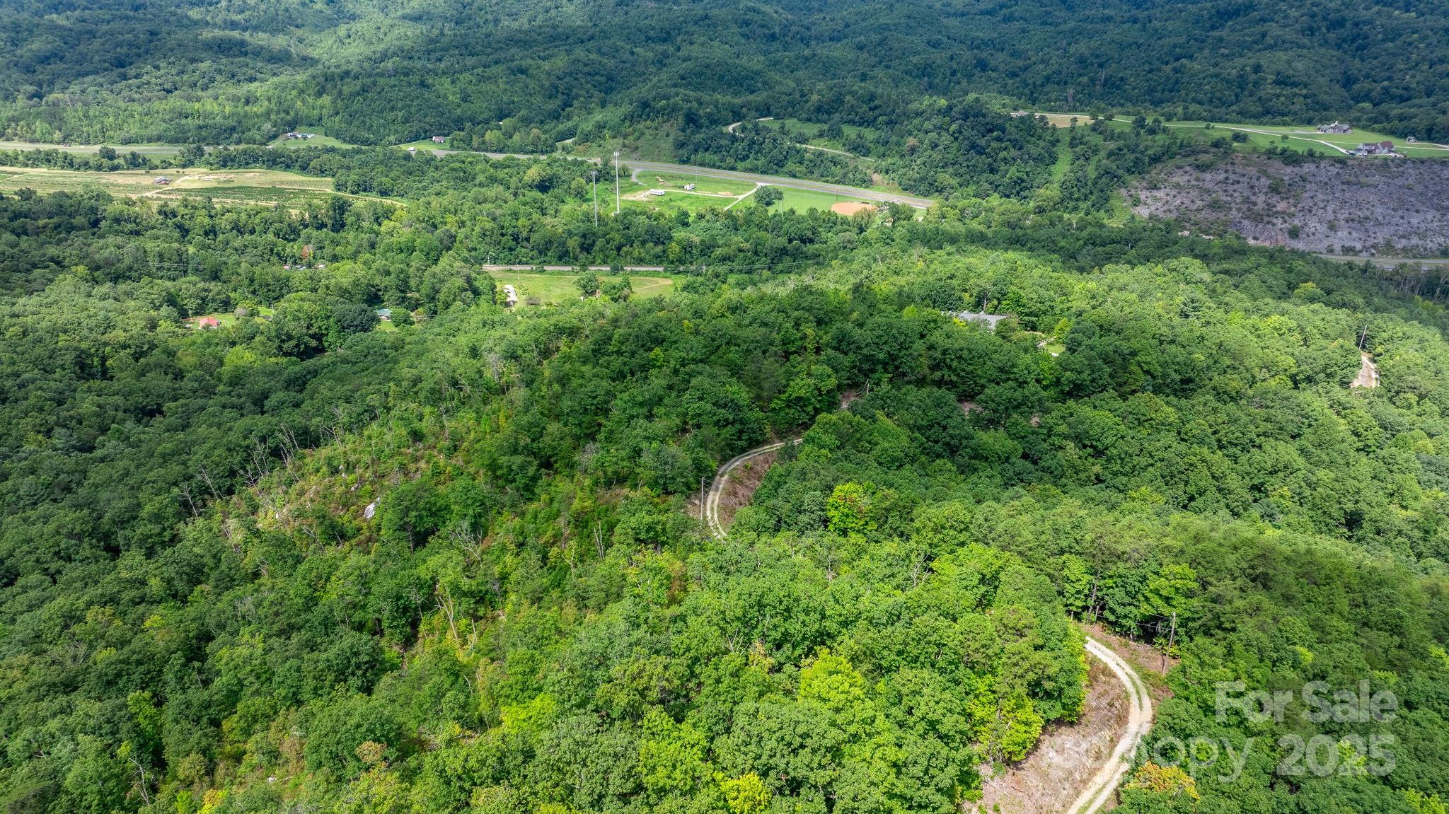 Tbd Old Linville Road Marion, NC 28752 - Photo 5 of 29 a view of a lush green forest with lots of trees
