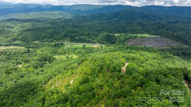 a view of a lush green forest with trees and some houses