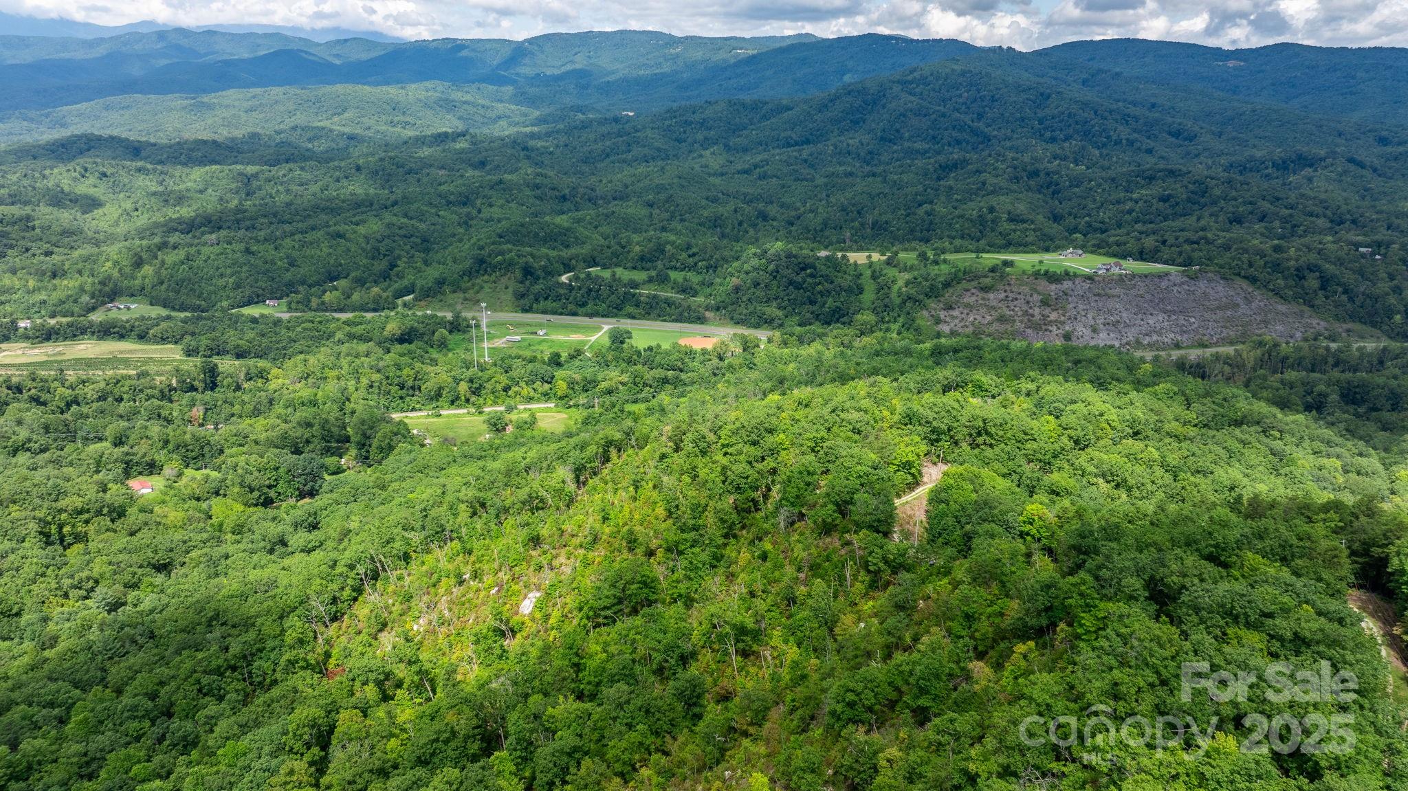 Tbd Old Linville Road Marion, NC 28752 - Photo 6 of 29 a view of a lush green forest with trees and some houses