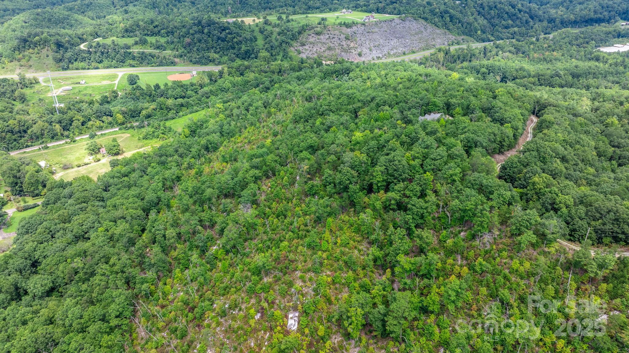 Tbd Old Linville Road Marion, NC 28752 - Photo 9 of 29 a view of a lush green space