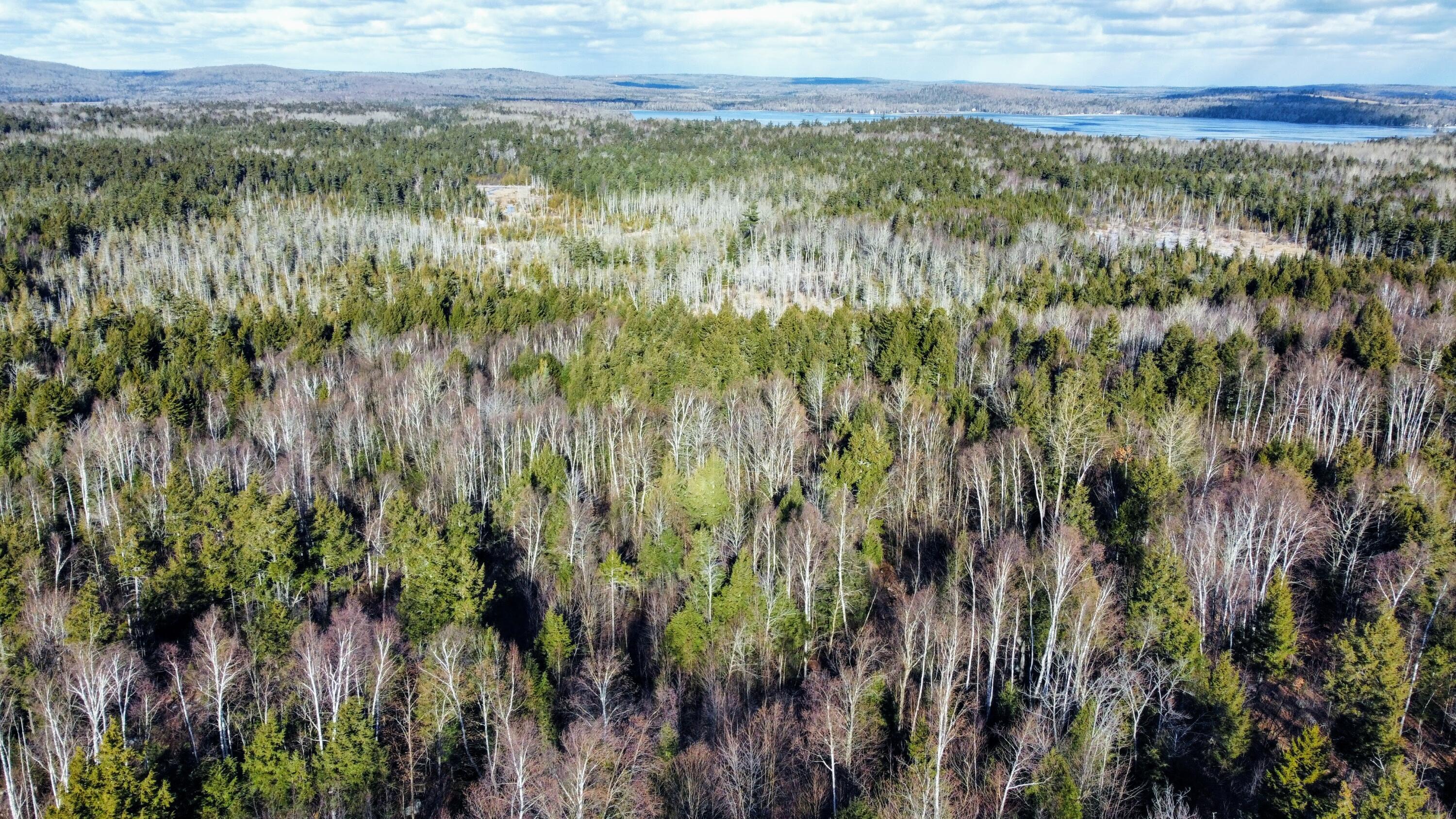 40.2 Mountain Road Linneus, ME 04730 - Photo 4 of 6 dji_export_1639587159716