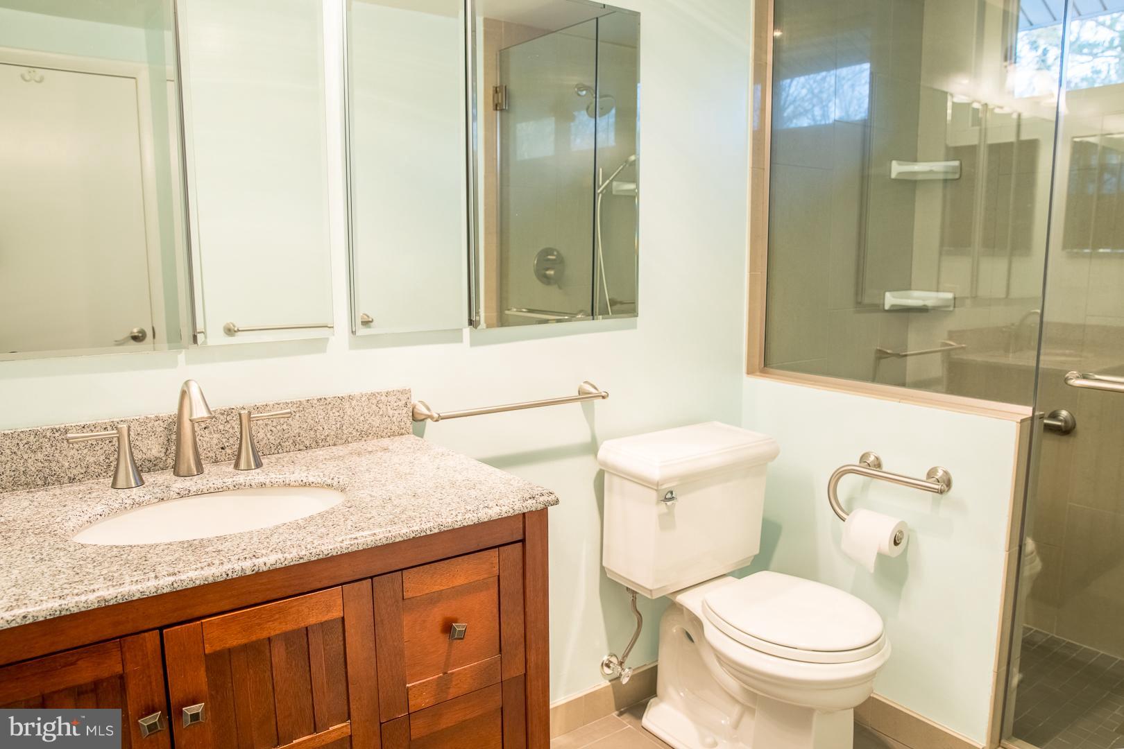 9124 Tulip Grove Road Gaithersburg, MD 20879 - Photo 8 of 20 a bathroom with a granite countertop sink a toilet and a mirror