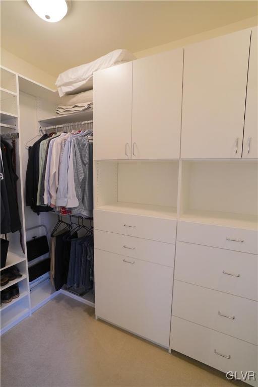 1620 Ressler Drive Orefield, PA 18069 - Photo 11 of 24 Master Closet