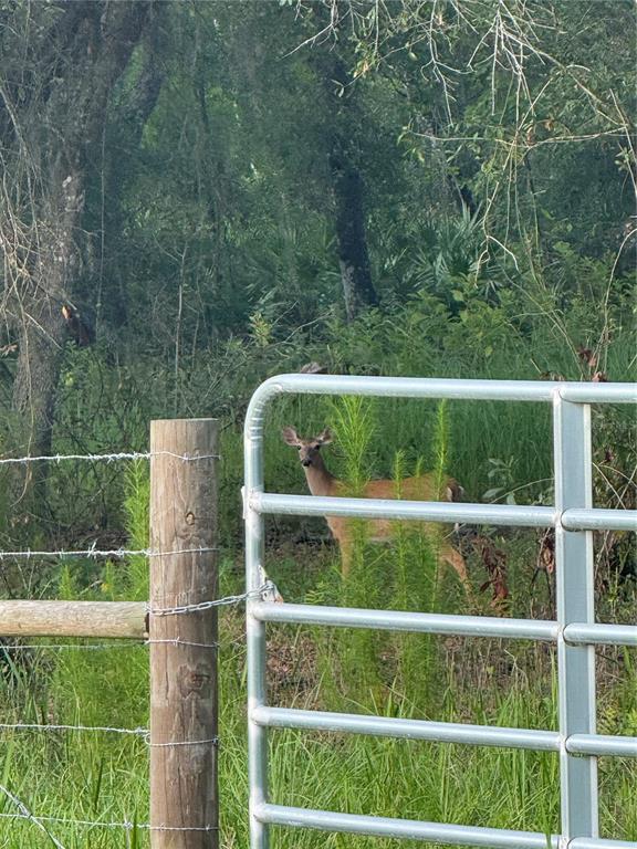 Southeast Brown Road Arcadia, FL 34266 - Photo 8 of 18