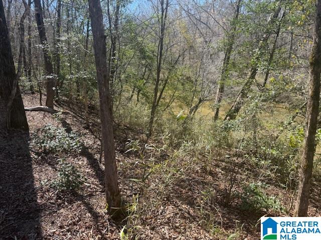 Pate Road Lineville, AL 36266 - Photo 5 of 5