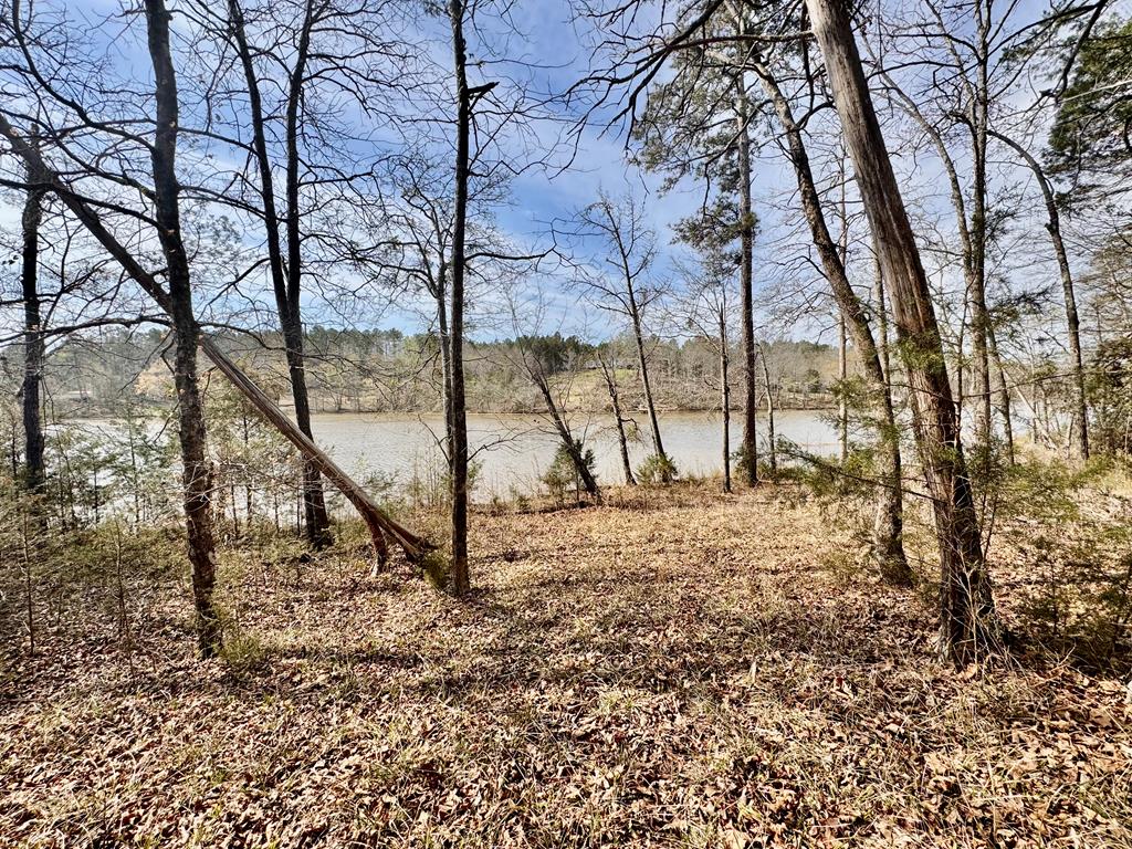 517 Terrapin Pointe Road Hodges, SC 29653 - Photo 16 of 29
