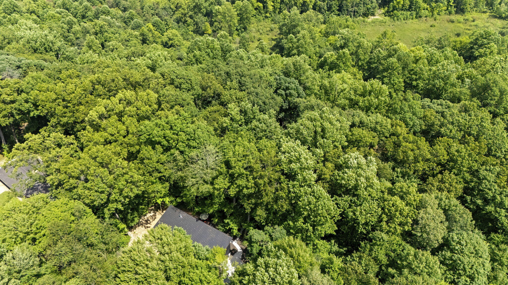 14823 North Main Street Buchanan, MI 49107 - Photo 29 of 33 32-web-or-mls-DJI_20250810141359_0232_DD