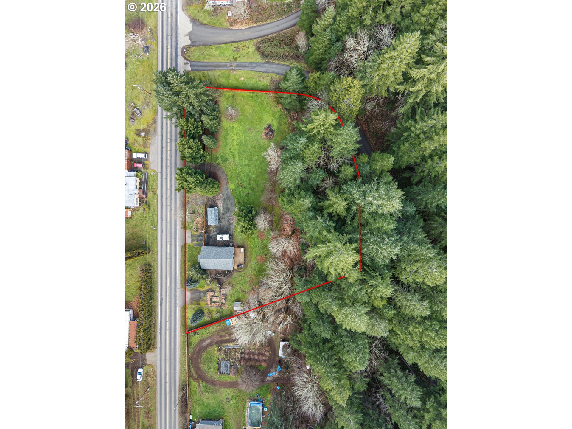 74129 London Road Cottage Grove, OR 97424 - Photo 35 of 44 a close up of a plant in a garden