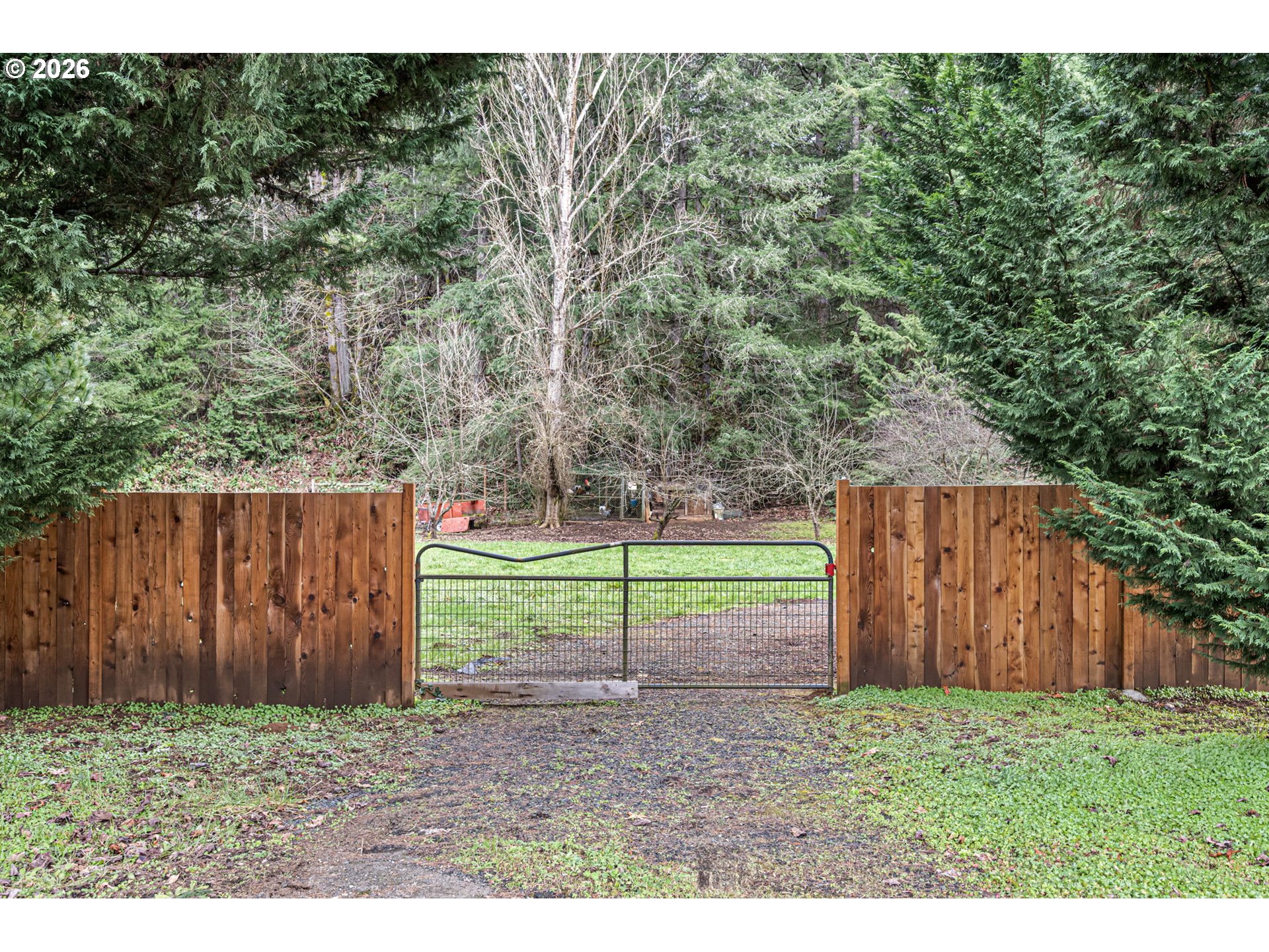74129 London Road Cottage Grove, OR 97424 - Photo 44 of 44 a backyard of a house
