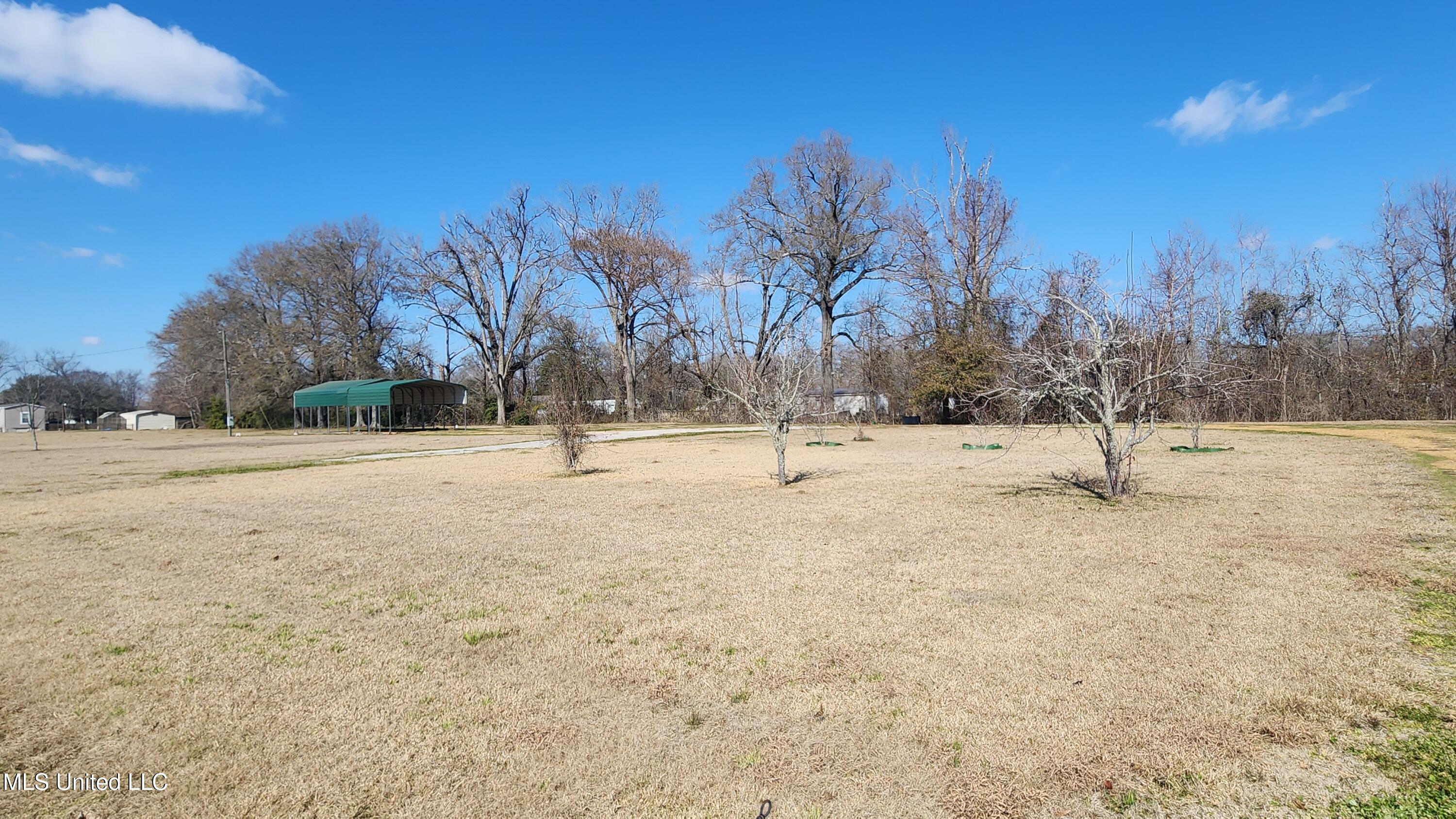 112-114 Philmore Burley Road Monterey, LA 71354 - Photo 2 of 14 20260205_125359