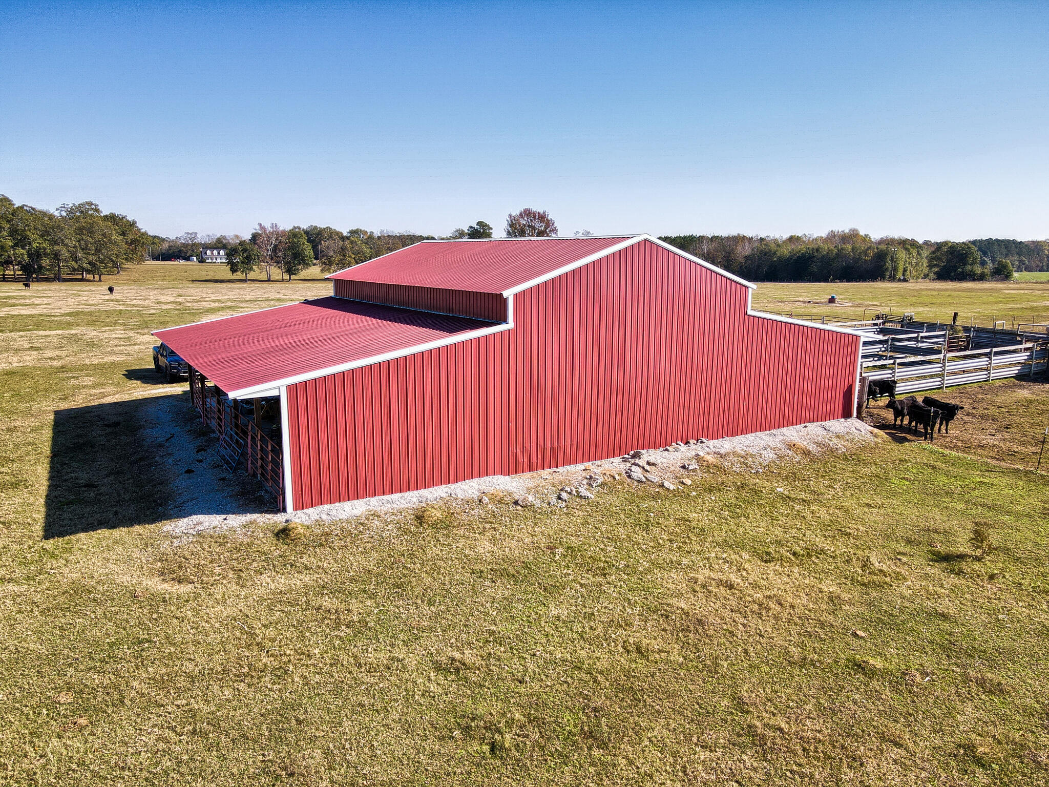 826 Binnicker Bridge Road Cope, SC 29038 - Photo 8 of 19