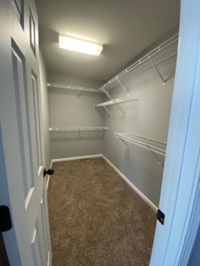 424 Ruby Ridge Trail Lyman, SC 29365 - Photo 20 of 25 Gallery Image 20