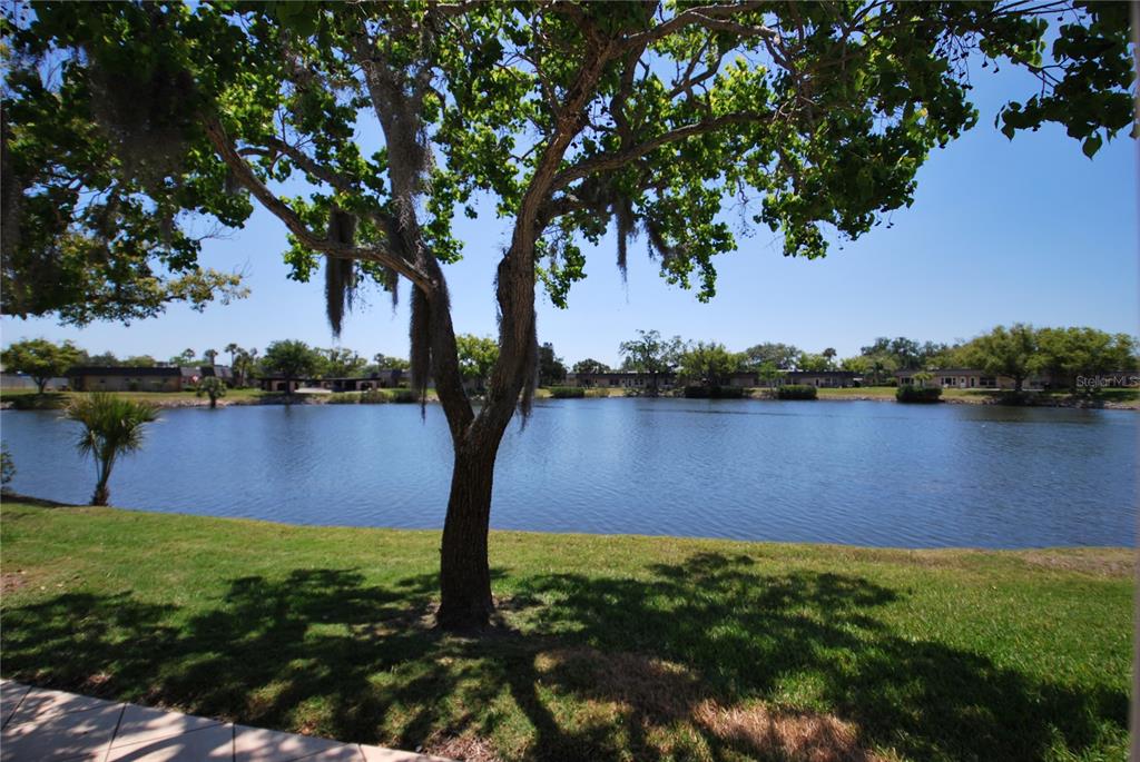 4136 Stratford Drive New Port Richey, FL 34652 - Photo 3 of 24