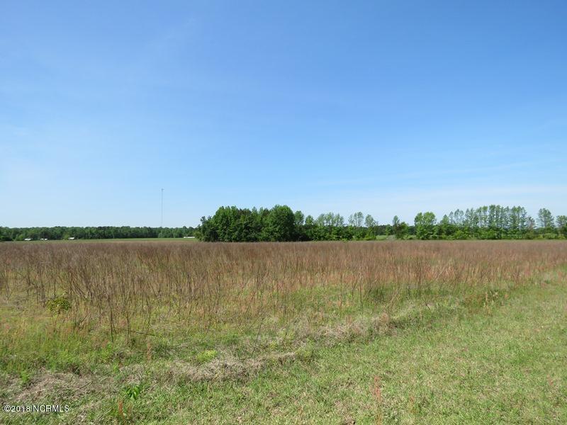 7712 North Chicken Road Lumberton, NC 28360 - Photo 14 of 20 14