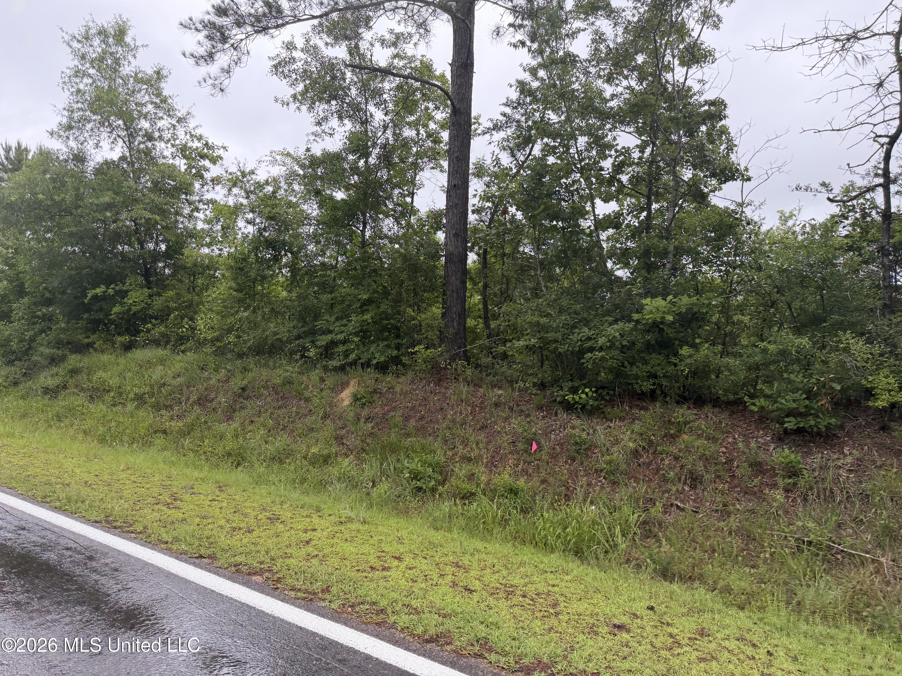 North River Road North Ruth, MS 39662 - Photo 10 of 13 IMG_7304