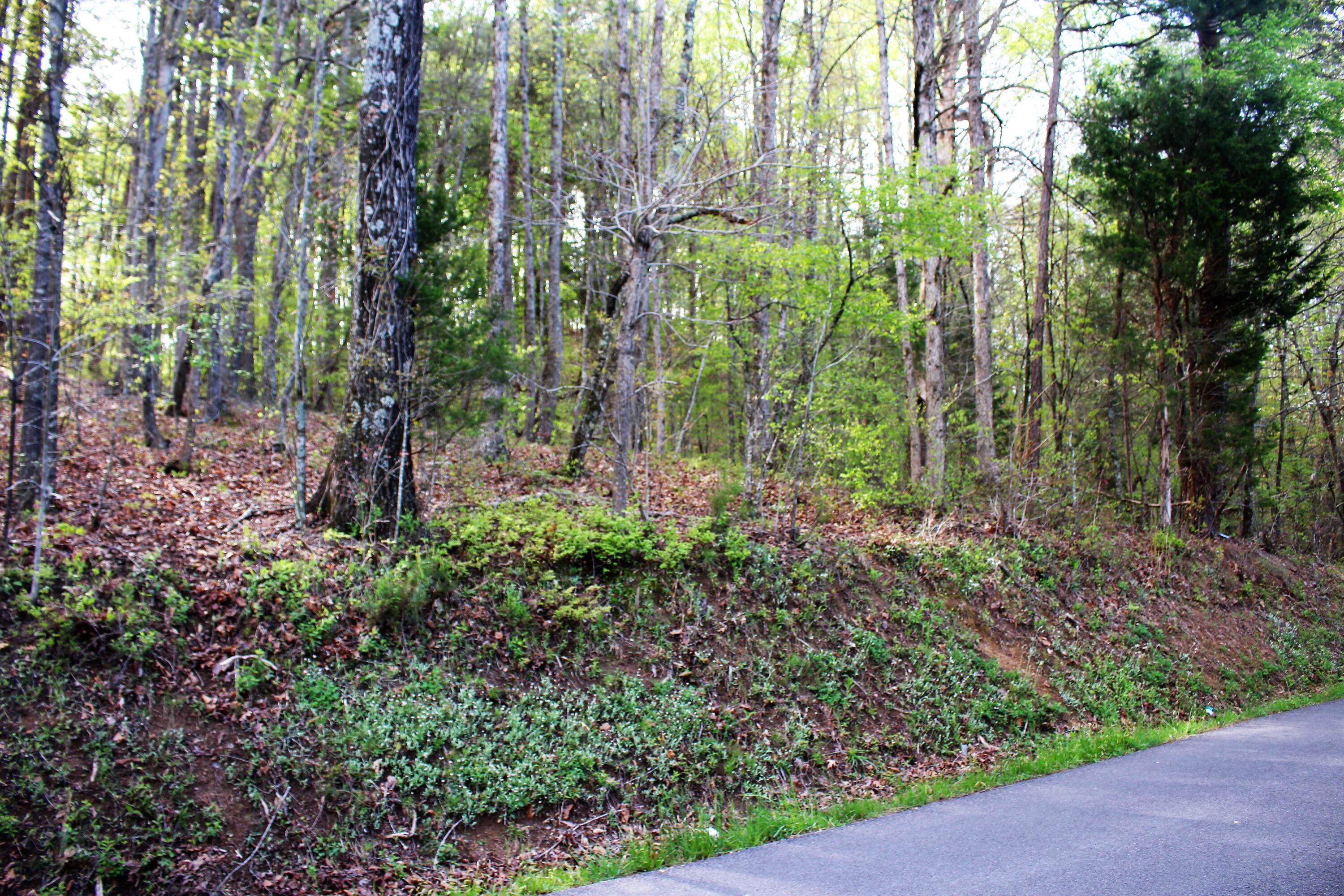 Lot 8 Northwest Rabbit Valley Road, Unit 8 Cleveland, TN 37312 - Photo 1 of 30 IMG_6826