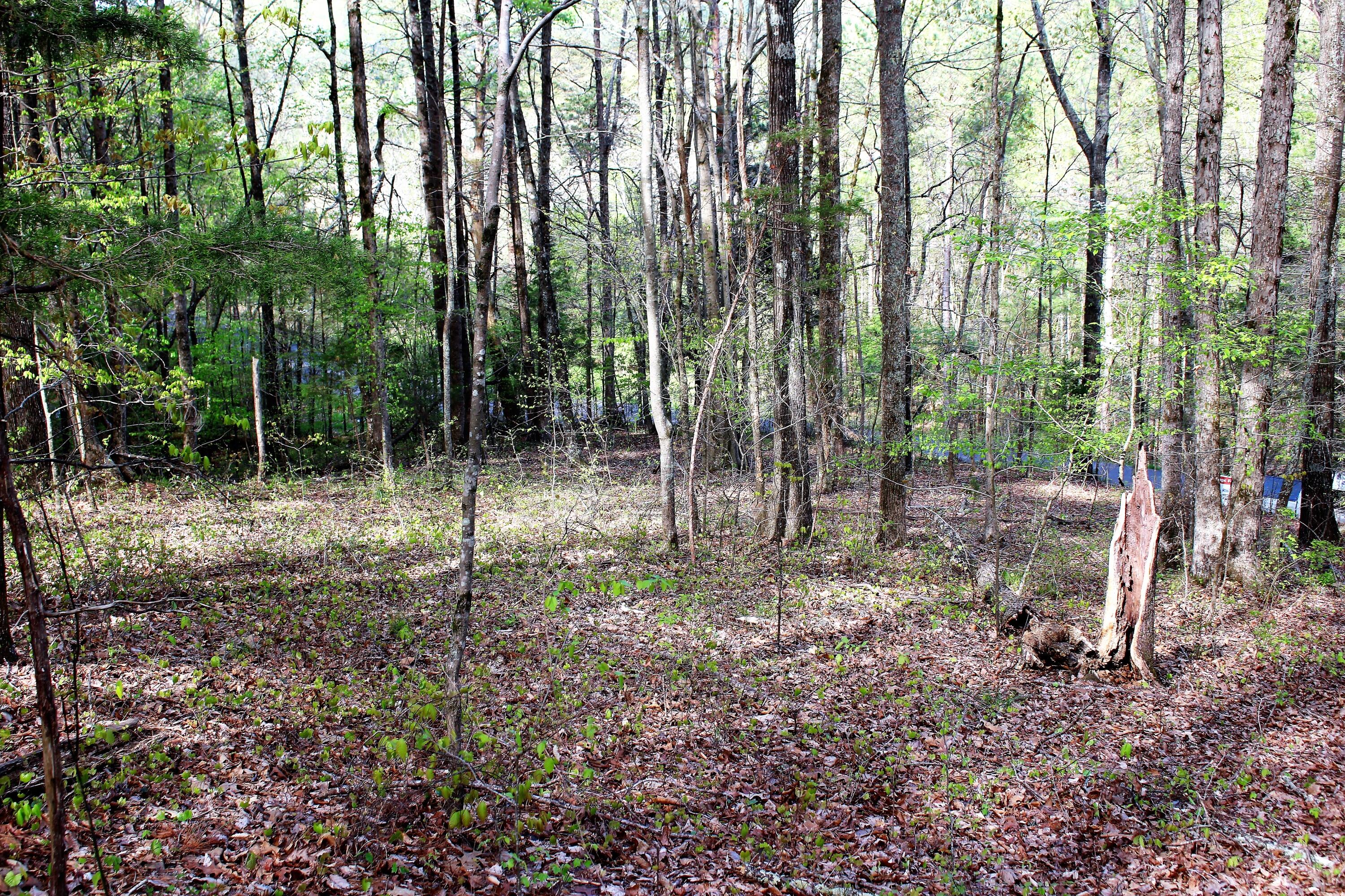 Lot 8 Northwest Rabbit Valley Road, Unit 8 Cleveland, TN 37312 - Photo 11 of 30 IMG_6834