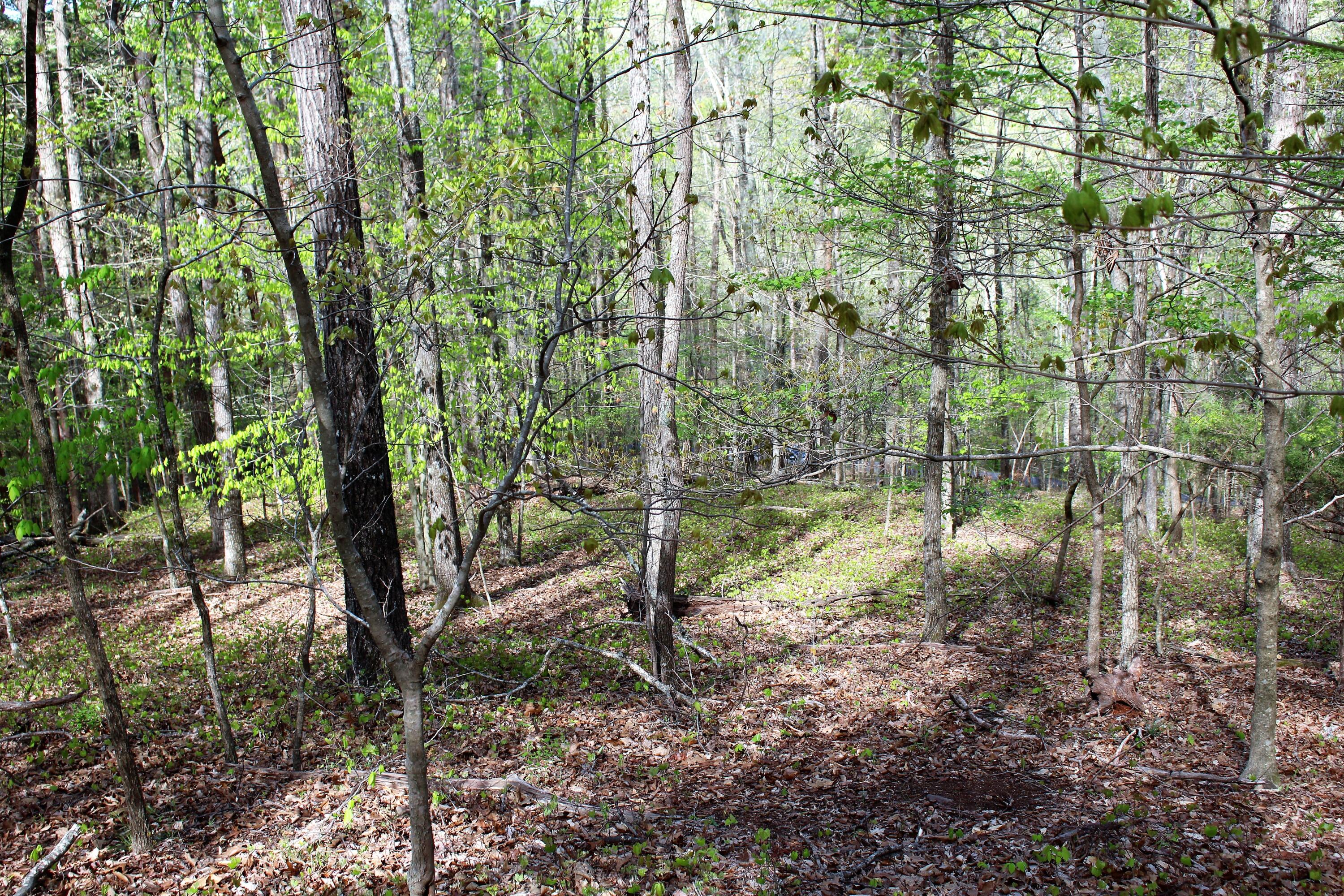 Lot 8 Northwest Rabbit Valley Road, Unit 8 Cleveland, TN 37312 - Photo 13 of 30 IMG_6836