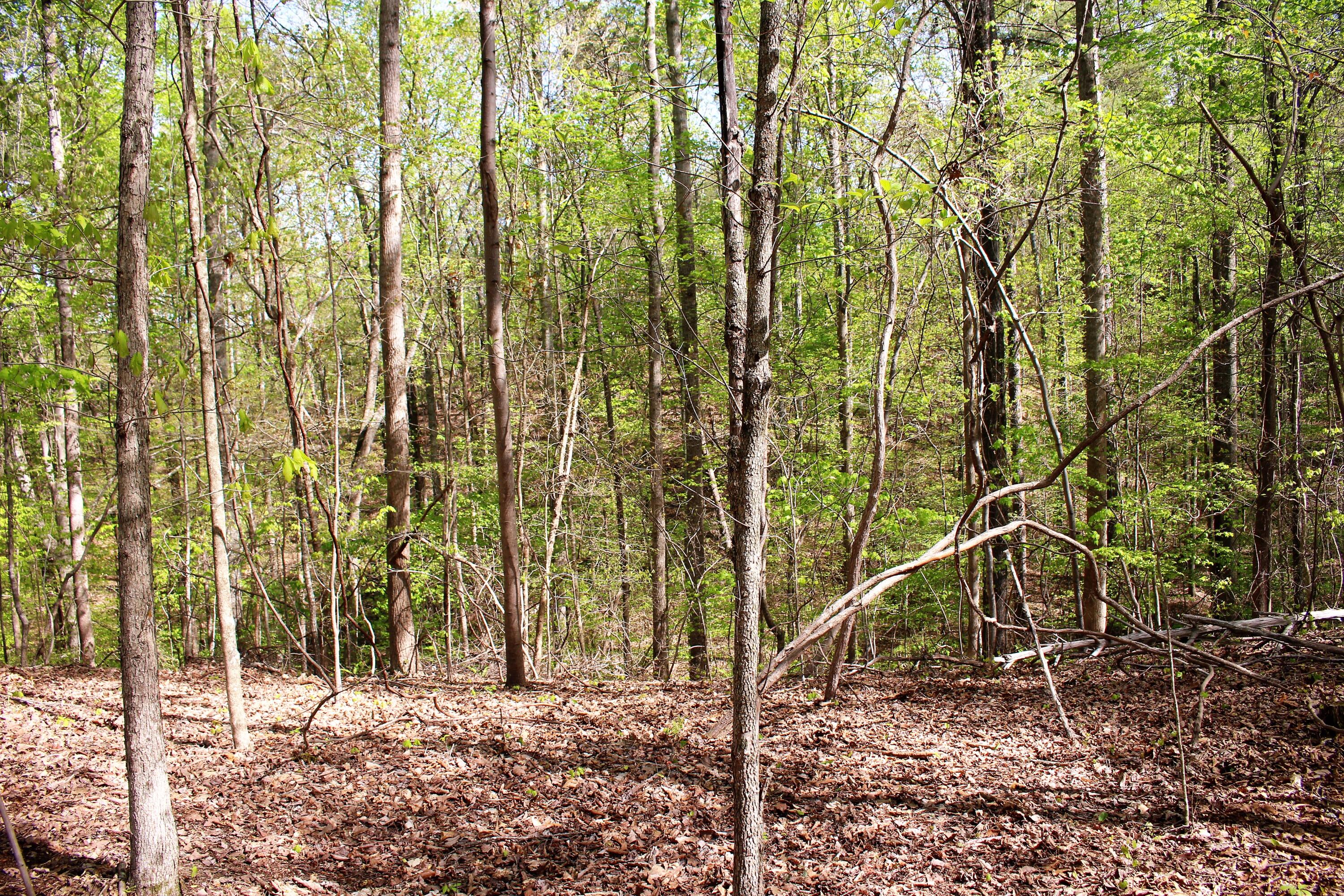 Lot 8 Northwest Rabbit Valley Road, Unit 8 Cleveland, TN 37312 - Photo 24 of 30 IMG_6847