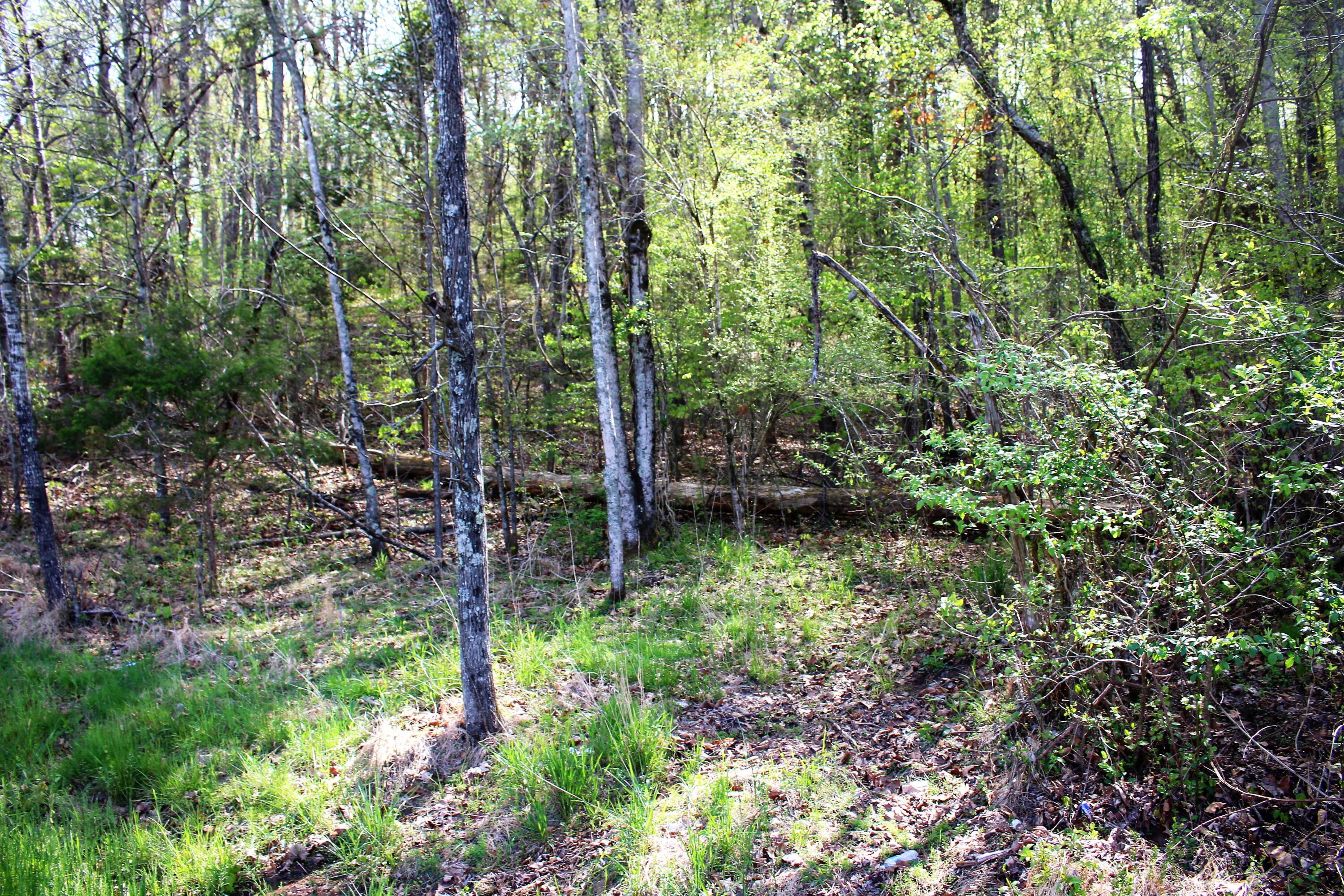 Lot 8 Northwest Rabbit Valley Road, Unit 8 Cleveland, TN 37312 - Photo 28 of 30 IMG_6851