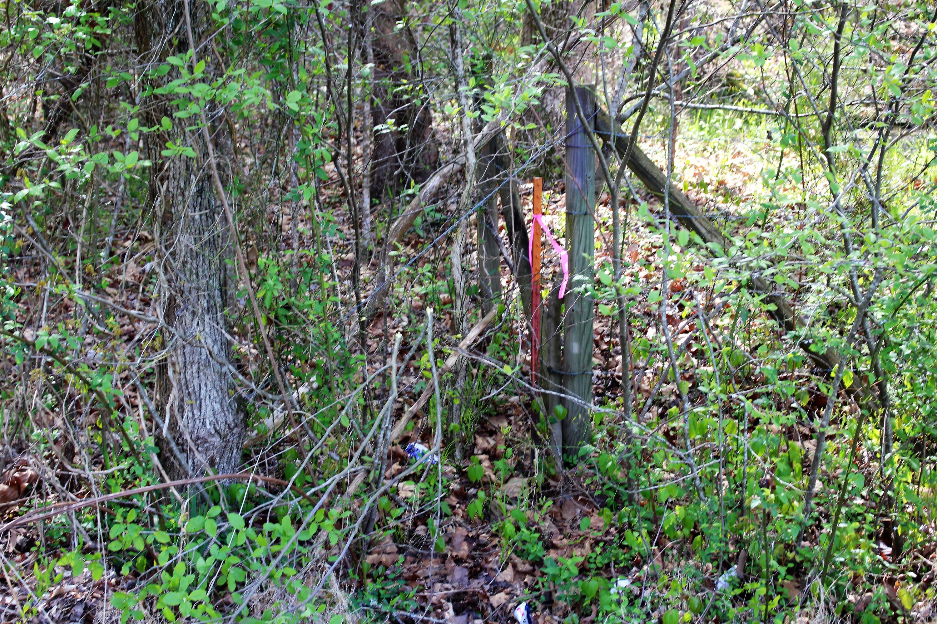 Lot 8 Northwest Rabbit Valley Road, Unit 8 Cleveland, TN 37312 - Photo 29 of 30 IMG_6852