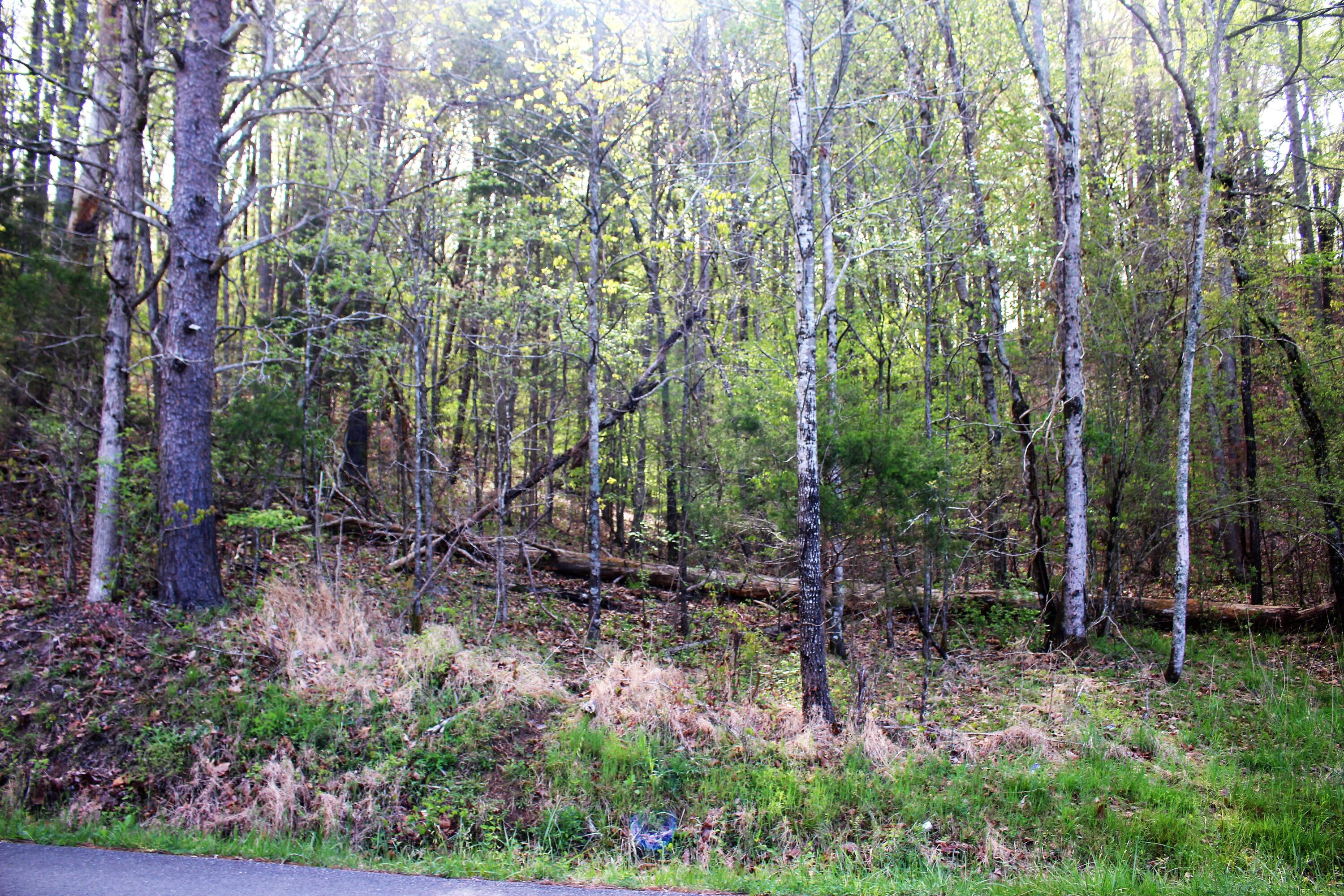 Lot 8 Northwest Rabbit Valley Road, Unit 8 Cleveland, TN 37312 - Photo 7 of 30 IMG_6830