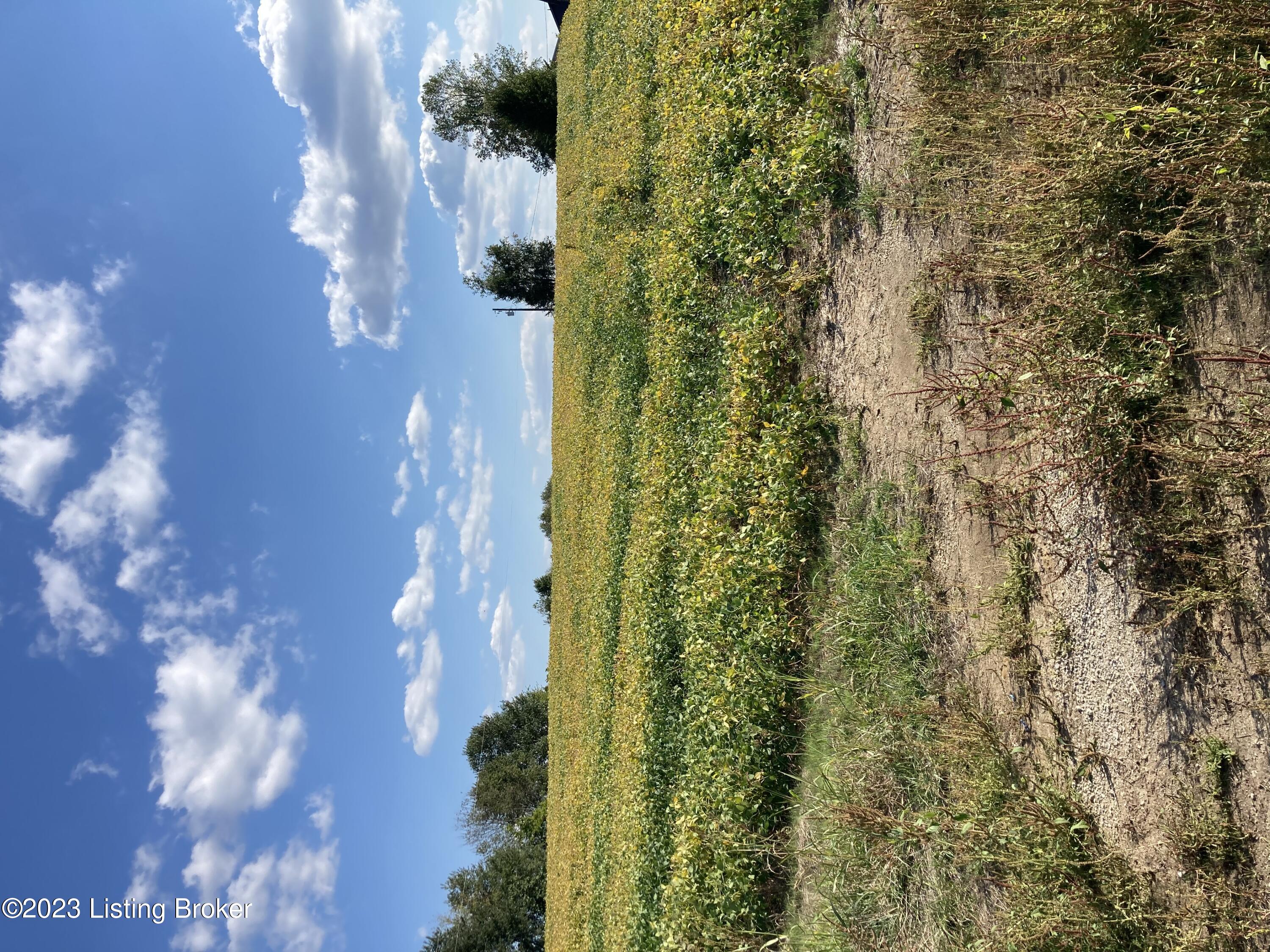 3295 Lawrenceburg Road Bloomfield, KY 40008 - Photo 1 of 9 main