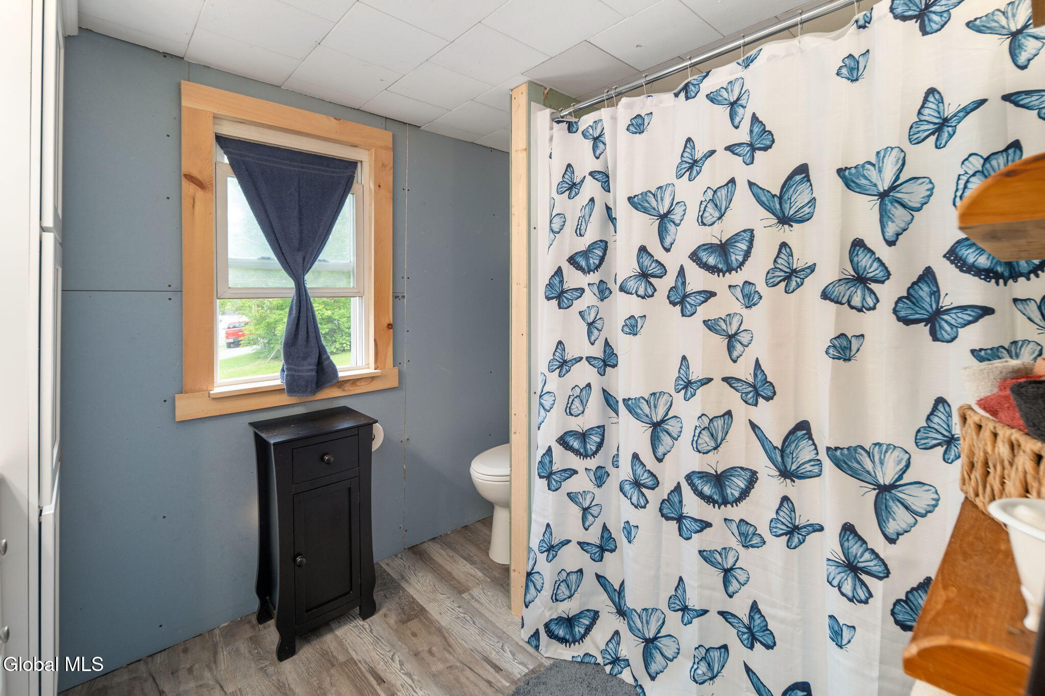 670 Mineral Springs Road Cobleskill, NY 12043 - Photo 26 of 51 31-670MineralSpringsRd_31