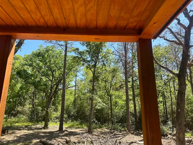 a view of backyard with large tree