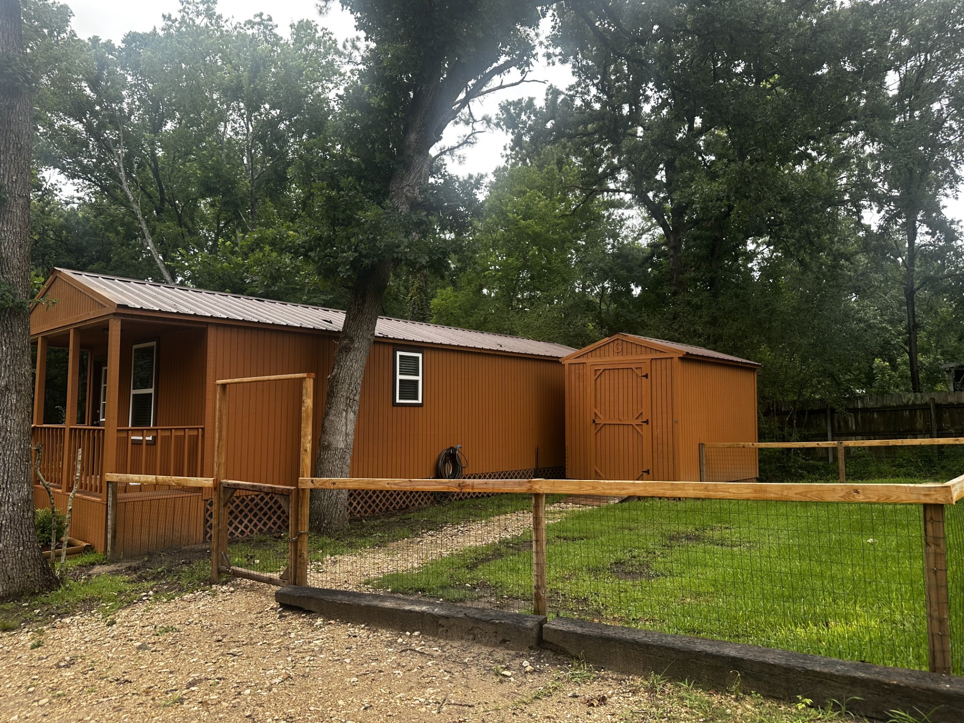 48 Vigilante Point Blank, TX 77364 - Photo 18 of 20 a view of backyard with large tree