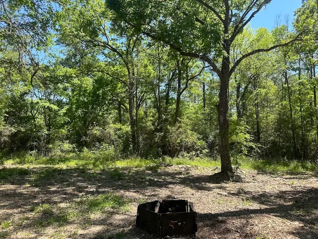 $900 | 48 Vigilante, Point Blank, TX 77364