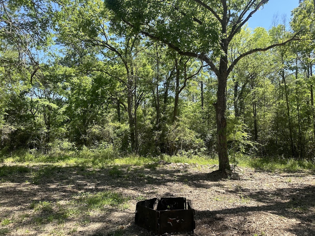 48 Vigilante Point Blank, TX 77364 - Photo 19 of 20 a view of a street with a tree