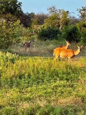 $399,500 | 170 Cr 505 Goldthwaite Tx 76844, Goldthwaite, TX 76844