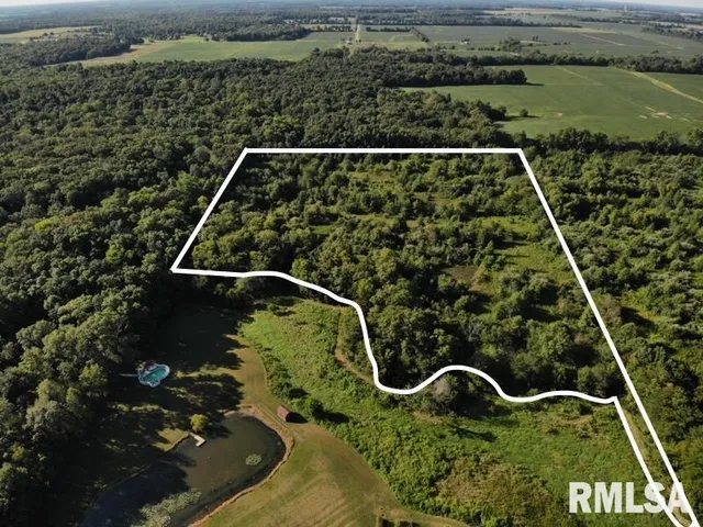 $97,500 | 0 Old Highway 50 Highway, Xenia, IL 62899