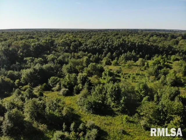 $97,500 | 0 Old Highway 50 Highway, Xenia, IL 62899