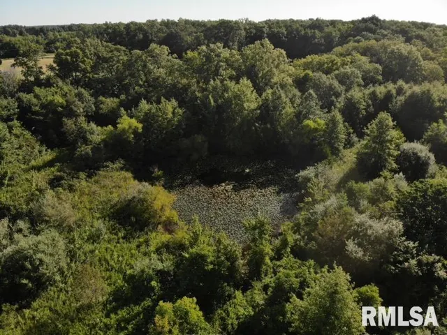 $97,500 | 0 Old Highway 50 Highway, Xenia, IL 62899