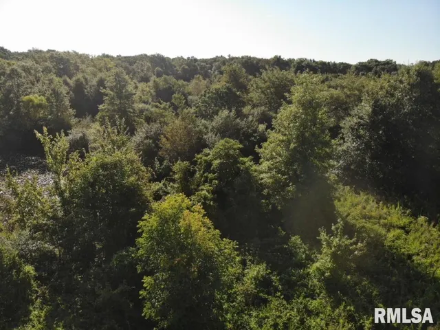 $97,500 | 0 Old Highway 50 Highway, Xenia, IL 62899