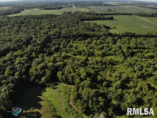 $97,500 | 0 Old Highway 50 Highway, Xenia, IL 62899