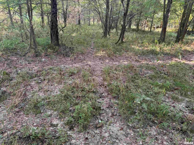 $97,500 | 0 Old Highway 50 Highway, Xenia, IL 62899