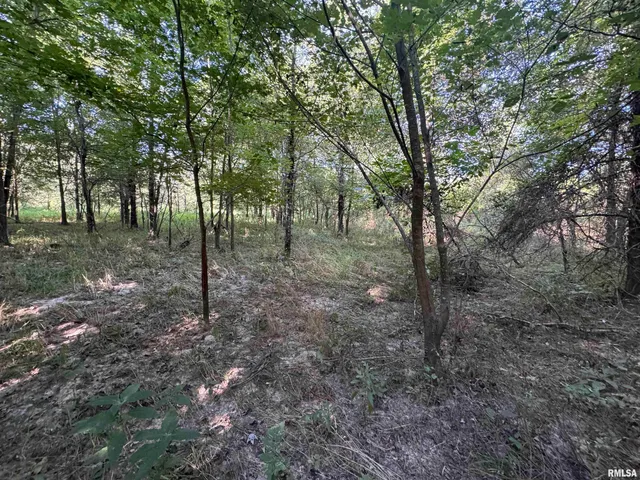 $97,500 | 0 Old Highway 50 Highway, Xenia, IL 62899