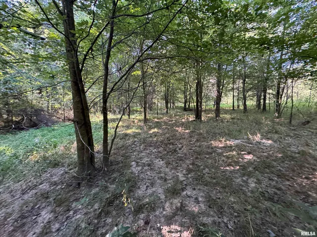 $97,500 | 0 Old Highway 50 Highway, Xenia, IL 62899