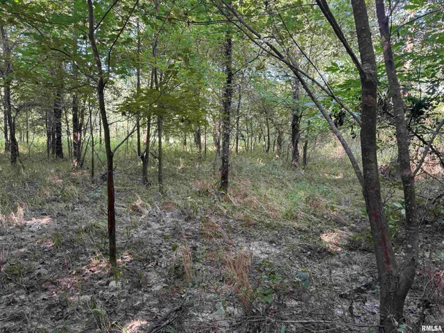 $97,500 | 0 Old Highway 50 Highway, Xenia, IL 62899