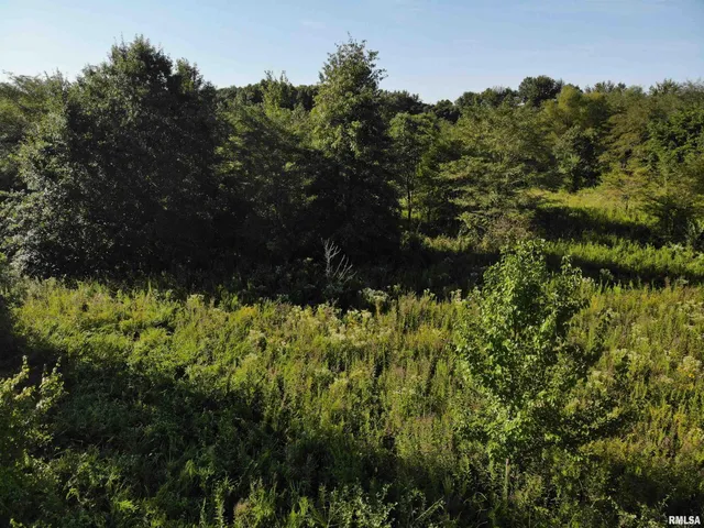 $97,500 | 0 Old Highway 50 Highway, Xenia, IL 62899