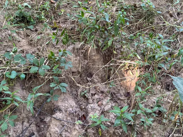 $97,500 | 0 Old Highway 50 Highway, Xenia, IL 62899