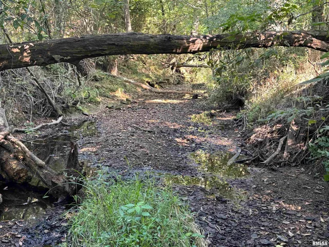 $97,500 | 0 Old Highway 50 Highway, Xenia, IL 62899